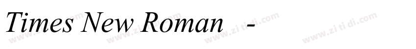 Times New Roman 常规字体转换
